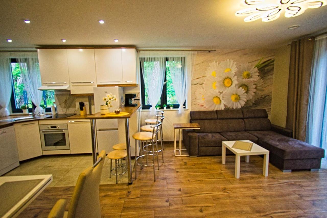 Daisy - Sunny Flowers Apartments Lukecin Exterior photo